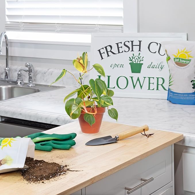 Tropical House Plant Potting Mix (2 Quarts); for All Types of Indoor House Plants