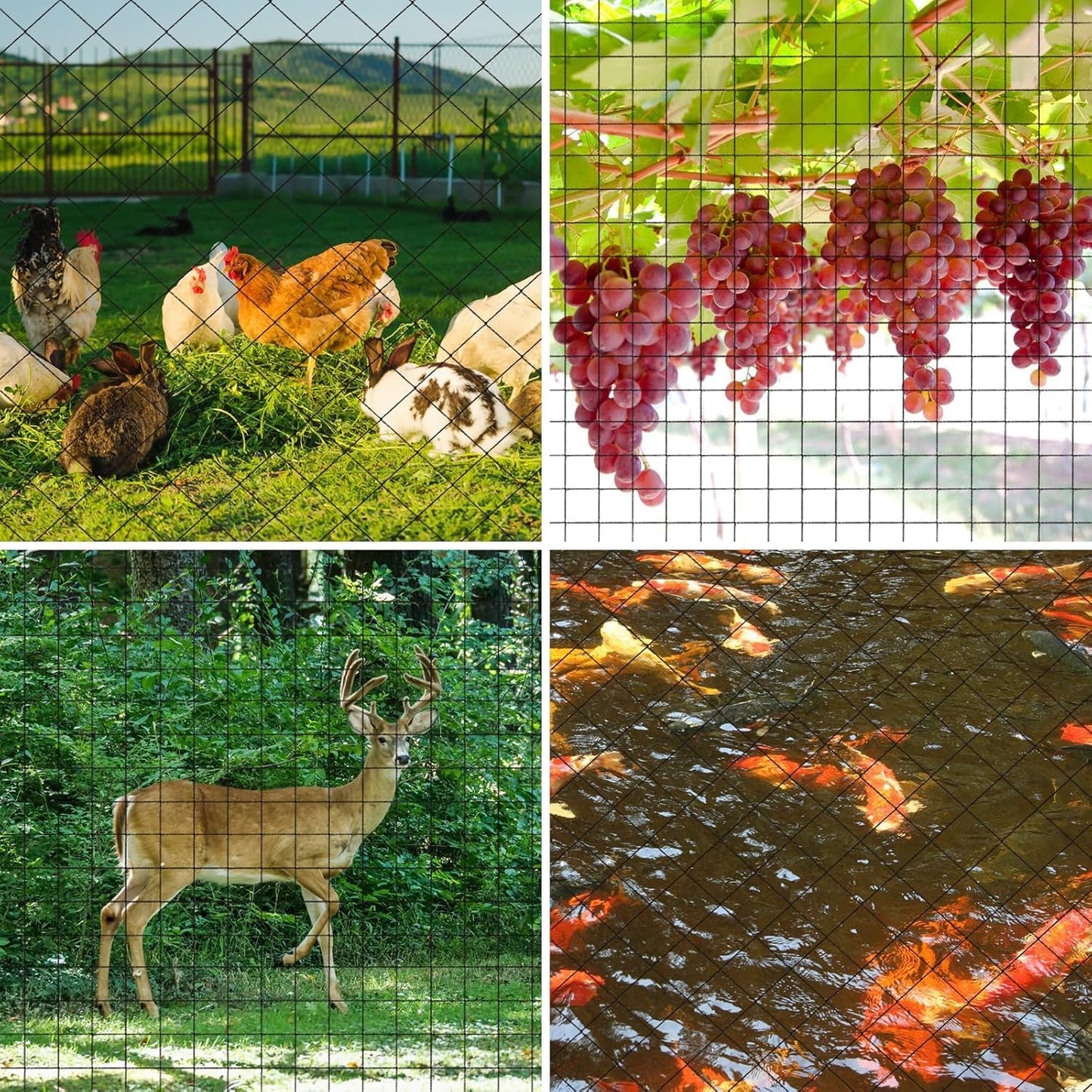 Bird Netting 50’x50’ Poultry Netting with 2.4” Square Mesh Net for Chicken Coop Garden Protection, Heavy Duty Nylon Garden Netting for Fruit Tree Against Aviary, Deer, Squirrel