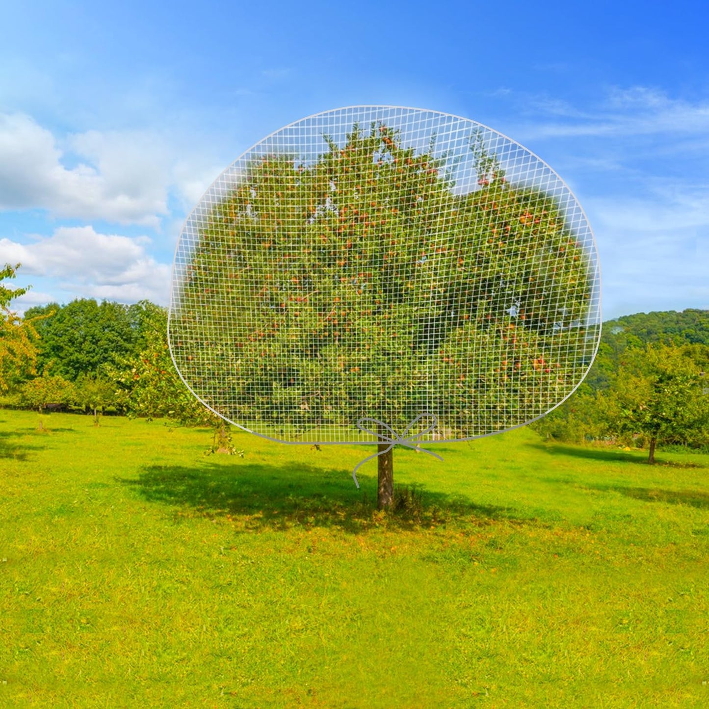 6 x 7 Feet Insect Bird Barrier Netting Mesh with Drawstring, Garden Bug Netting Plant Cover for Protect Plant Fruits Flower from Insect Bird Eating