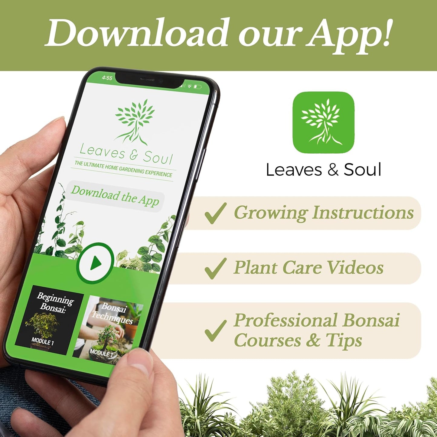 Professional Liquid Jasmine Fertilizer | 3-1-2 Concentrate for Plants and Flowers | Multi-Purpose Blend & Gardening Supplies | 8 oz Bottle (Jasmine)