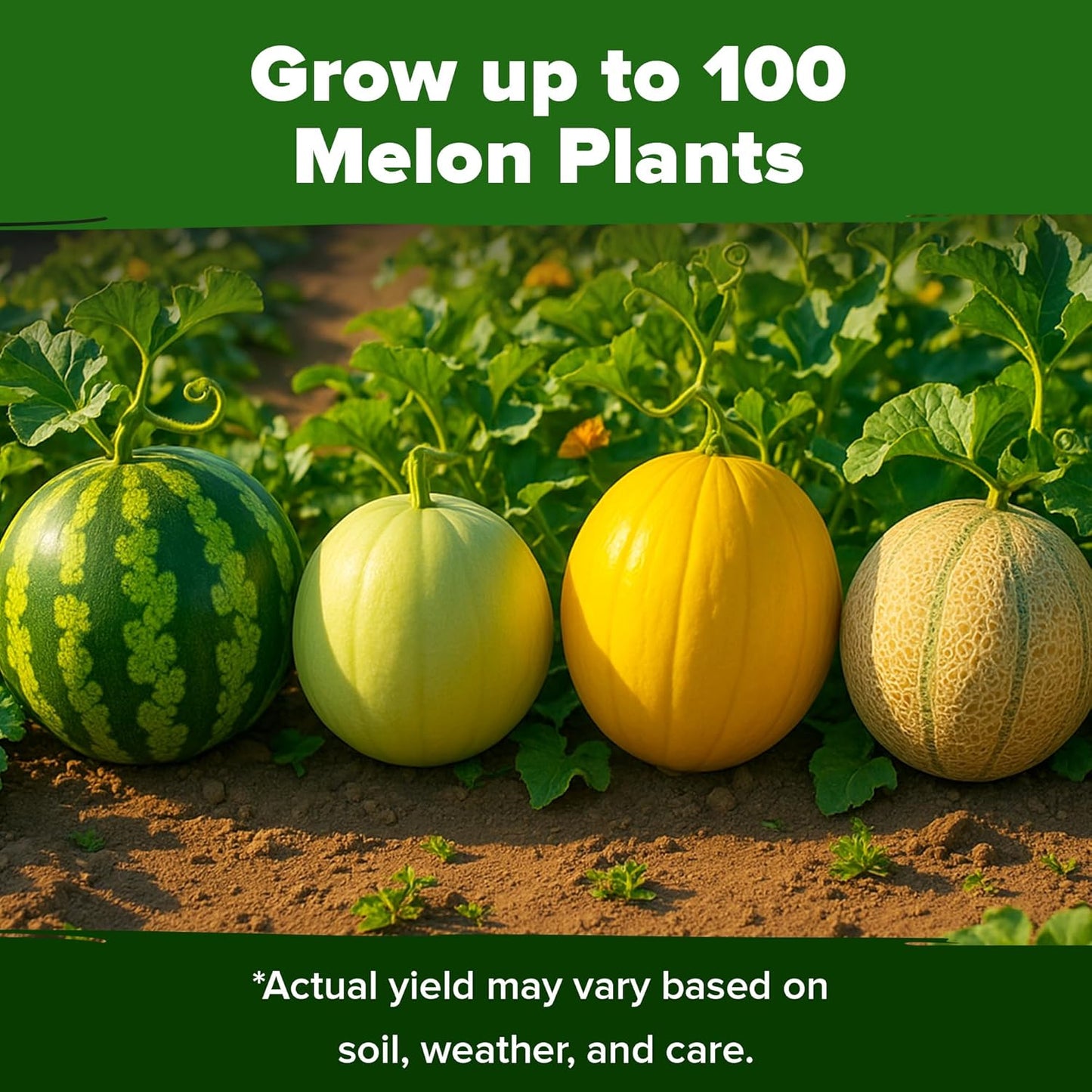 HOME GROWN π¨π¦π π£π₯ππ ππ¨π Melon Seeds Variety Pack 5 π‘π’π‘-ππ π’ Heirloom Vegetable Seeds, Watermelon Cantaloupe Honeydew Sugar Baby & Melon, High Germination for Planting Home Garden Indoors