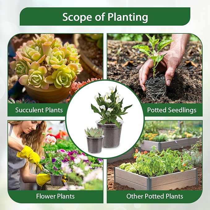 RAOOKIF 35 Pcs Clear Nursery Pots for Plants, 7/6/5/4/3 Inch Clear Plant Pots with Drainage Holes, Seed Starter Plastic Pots for Plants, Flower, Herb, Bonsai, Succulent, Vegetable