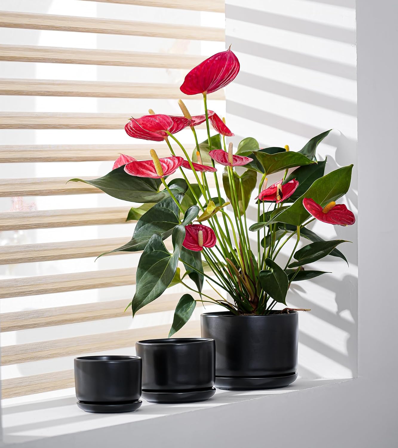 Ton Sin Plant Pots, 4.1+5.1+6.5 inch, Set of 3, Ceramic Planters with Drainage Hole and Saucer, Indoor Flower Pot Gifts for Mom(Matte Black)