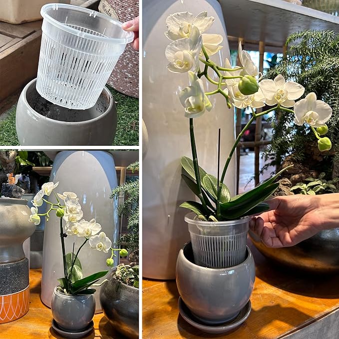 Orchid Pot,12 Pack 5.5Inch Clear Plastic Orchid Pots with Saucers, Orchid Pots with Holes, Orchid Pots for Repotting, Orchid Breathable Slotted Pot(12Pcs 5.5in+ Saucers)
