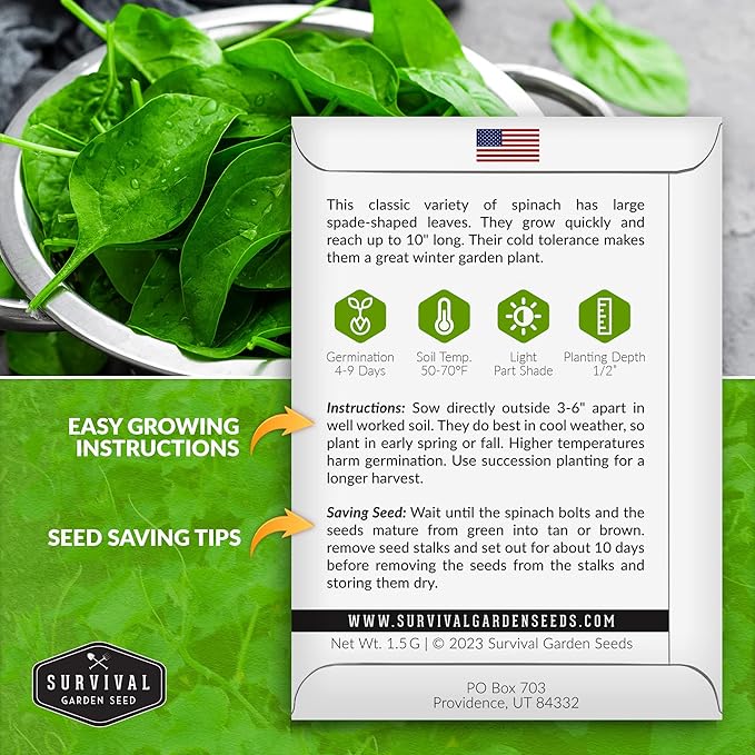 Survival Garden Seeds - Viroflay Spinach Seed for Planting - Packet with Instructions to Plant and Grow Nutritious Leafy Greens in Your Home Vegetable Garden - Non-GMO Heirloom Variety - 3 Pack