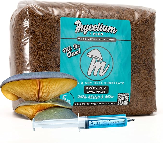 Mycelium's Purple Mukitake Gourmet Mushroom Kit | 5LBS Alder & Soy Hull Blend with Mycelium Plus Grains Combo | Sterile & Nutrient-Rich for Home Growers | Includes 20ML Liquid Culture Syringe