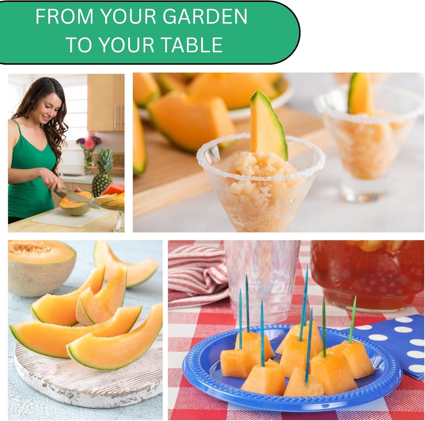 Woods Creek Seeds: Hearts of Gold Cantaloupe Melon Seeds for Planting - Over 90 Heirloom Non-GMO Cantaloupe Seeds for Planting - Beginner Friendly Fruit Seeds for Home Gardening
