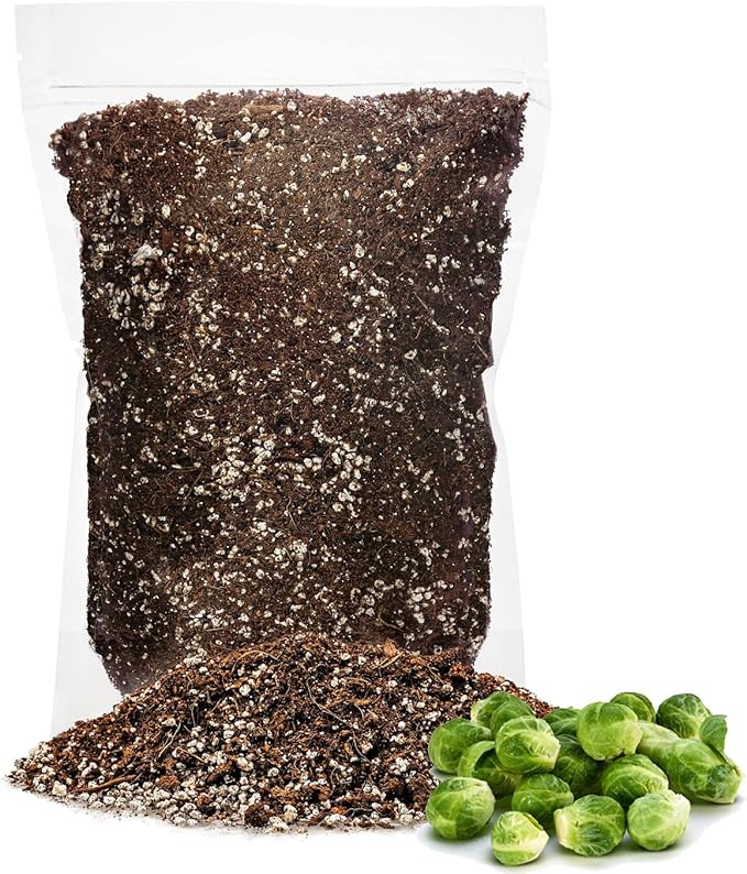 Premium Organic Potting Soil for Brussel Sprouts - (2 Quart Bag)