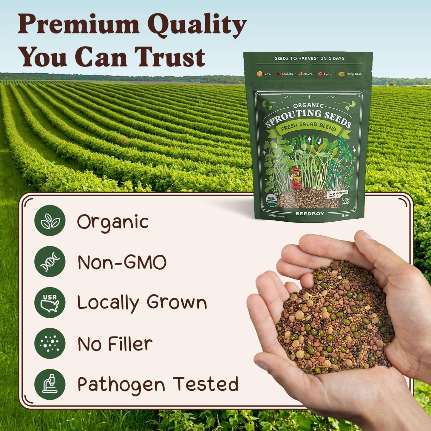 Seedboy Organic Non-GMO Fresh Salad Blend Sprouting Seeds & Kit – Includes Jar, Lid & Stand – USA Grown Microgreens Mix – 8 oz Bag Makes 24 Servings (Sprouting Jar/Salad Blend)