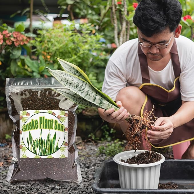 Premium Snake Plant Soil Mix 1qt, Indoor Plants Potting Mix for All Potted Snake Plants, Promote Healthy Growth and Easy Care