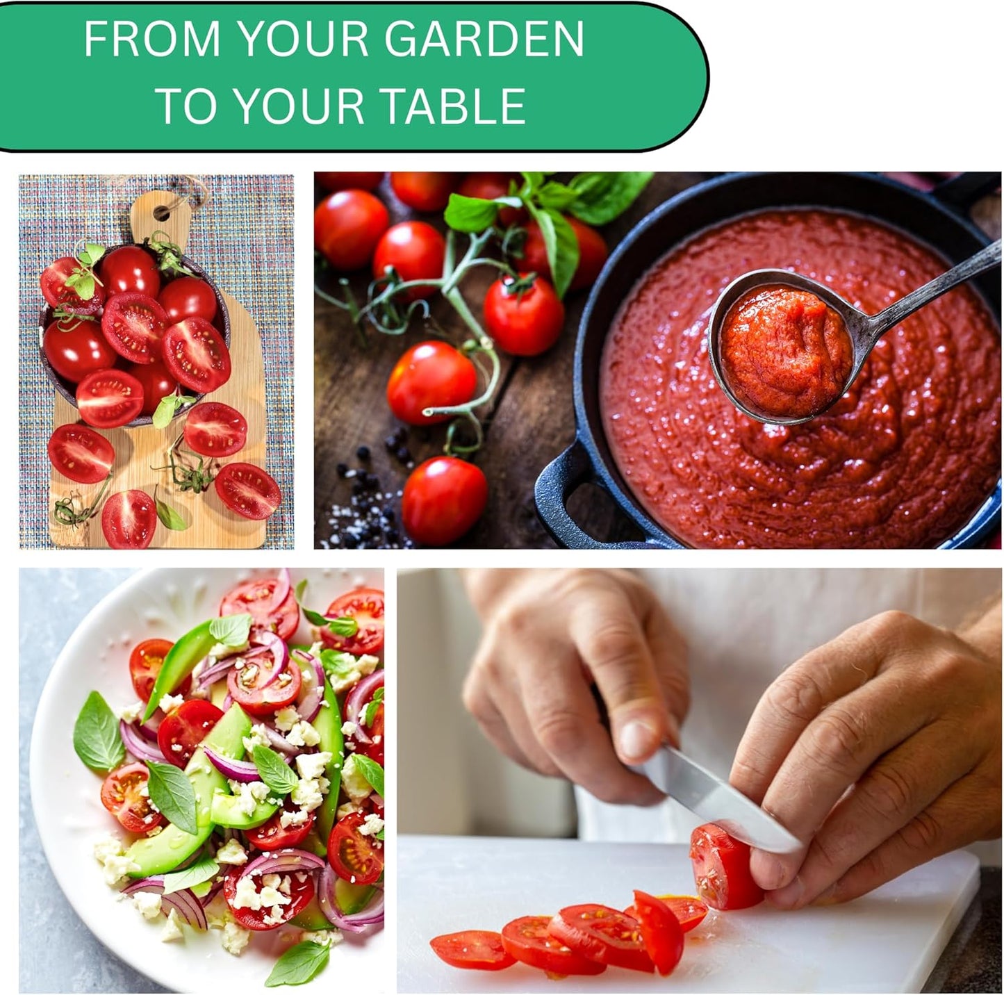 Woods Creek Seeds: Roma VF Tomato Seeds for Planting - Over 350 Heirloom Tomato Seeds for Planting Outdoors, Indoors, Patio or Home Plant Garden - Non-GMO Seed Pack of Tomatoes