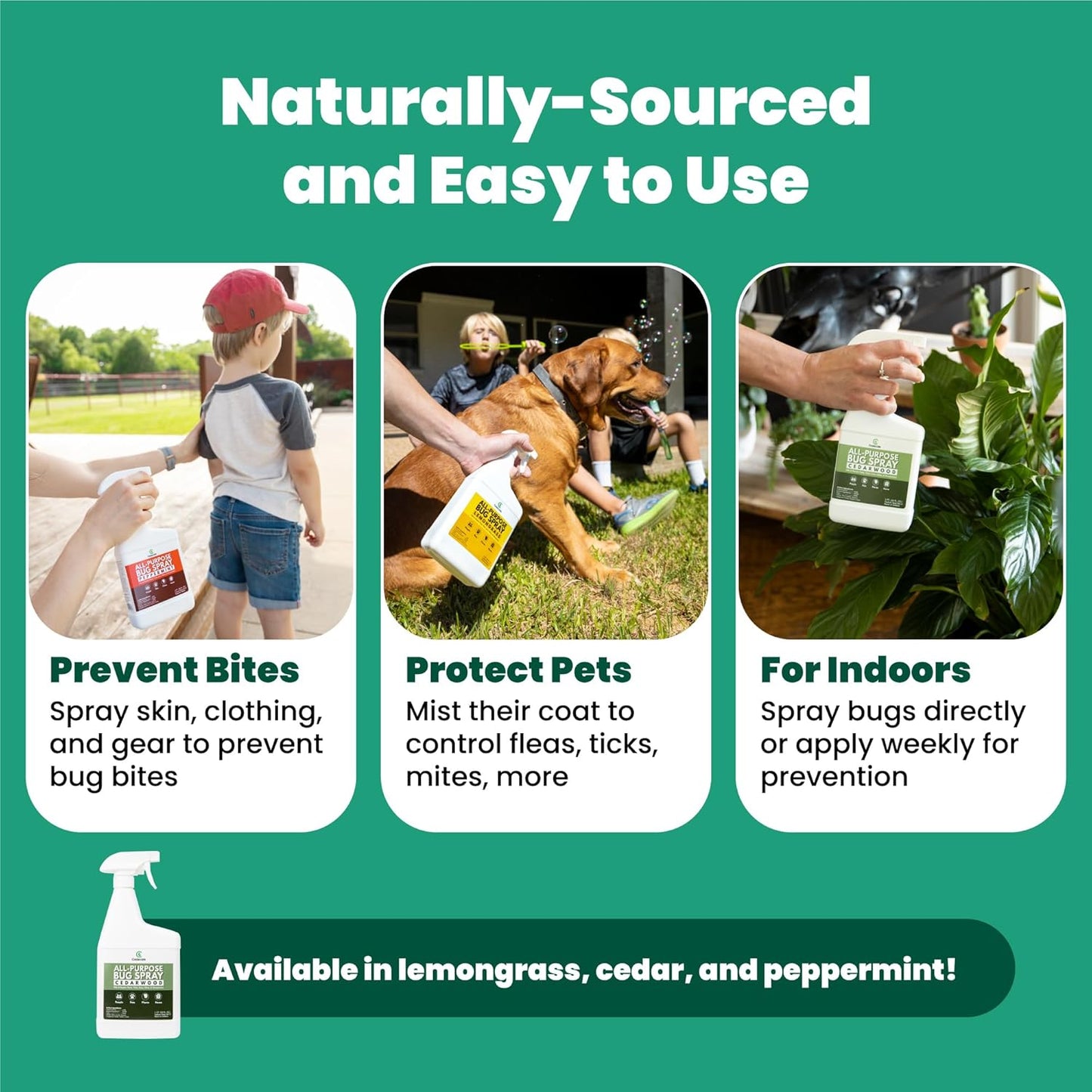 Cedarcide All-Purpose Bug Spray | Kill and Control Mosquitos, Fleas, Ticks, Ants | Made with Natural Essential Oils | Use on People, Pets & Kids (Peppermint, Quart (32 Oz.))