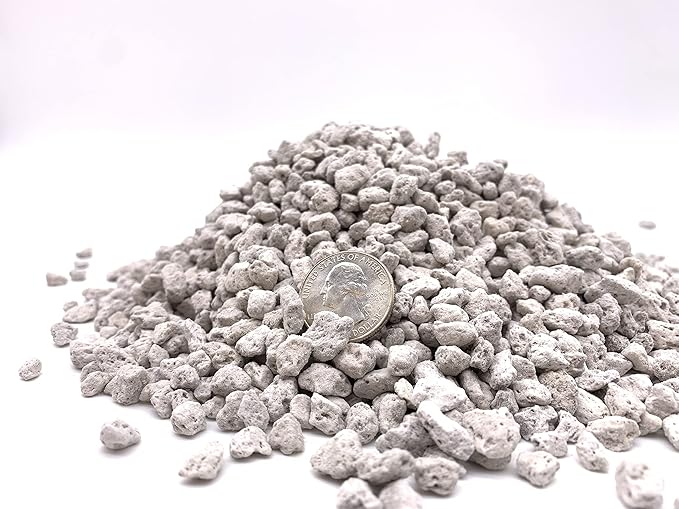 Pumice for Bonsai, Succulent, Cactus | 2 Quarts Bag | 1/4β Particle Size | The Bonsai Supply