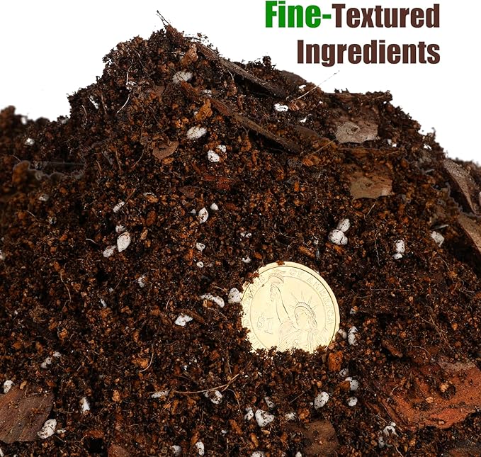 Organic Pothos Soil Mix 10qt, Indoor Plants Potting Mix for All Potted Pothos, Grow Healthy houseplants Indoors
