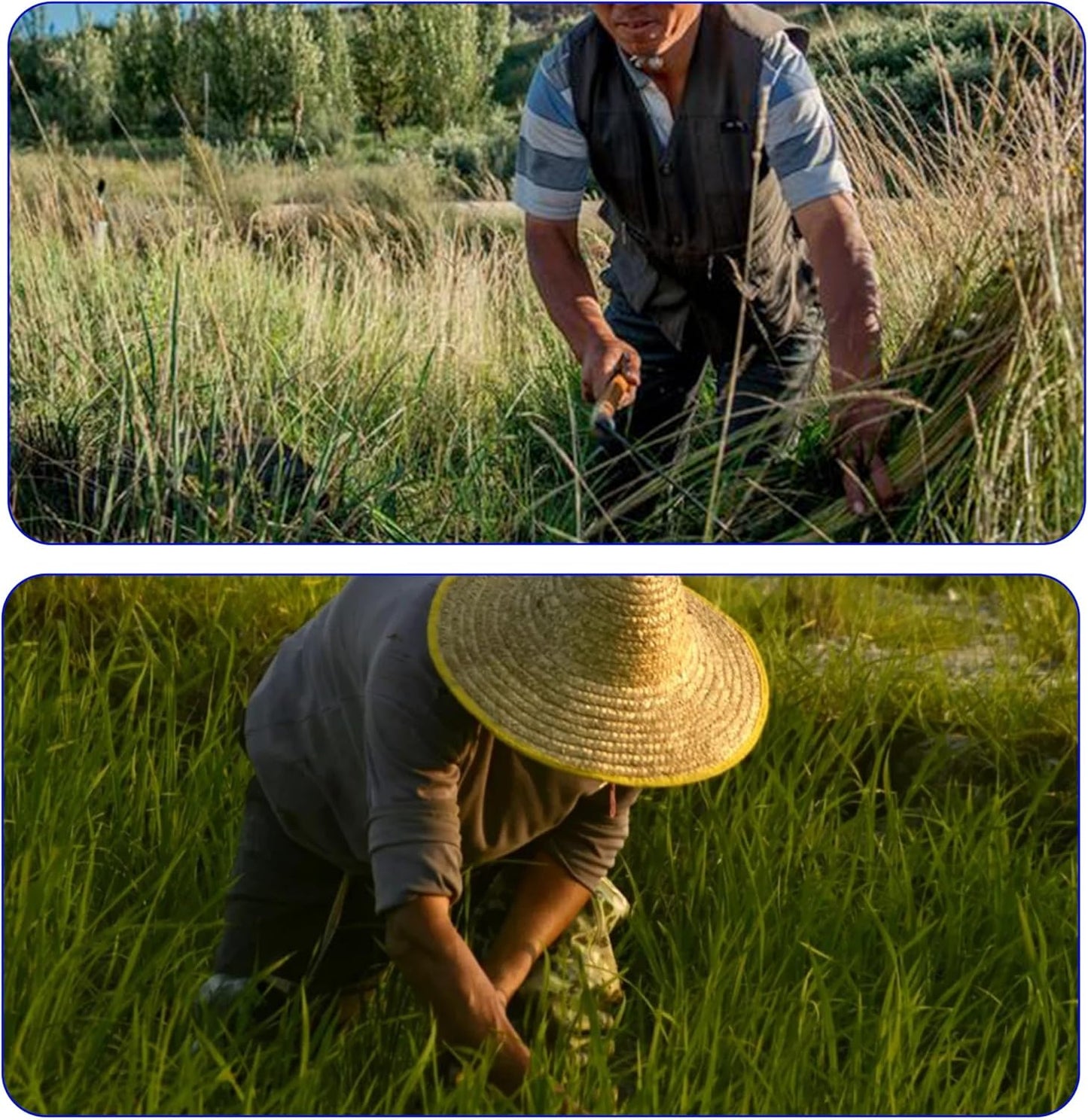 1pce 340mm/13.39in Carbon Steel Billhook Brush Clearing Sickle for Grass,Weeding Tools for Garden,Curved Sawtooth Sickle,Machete Axe for Cutting Trees,Steel Blade Knife in Hand