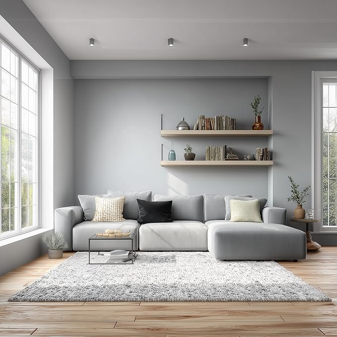 EVOLVE Paint & Primer: Environment-friendly, Low Sheen with One-coat Coverage for Interior & Exterior surfaces Silver Gray, 5-Gallon
