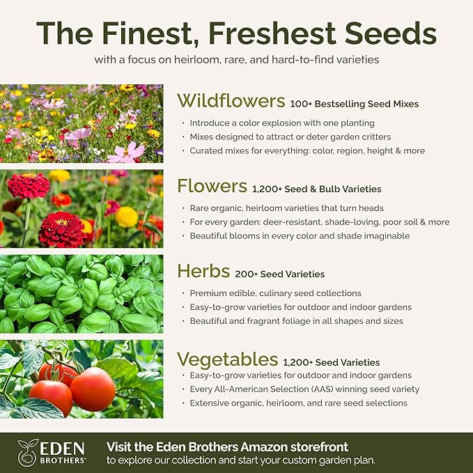 Eden Brothers Wyoming Wildflower Mixed Seeds for Planting, 1/4 lb, 120,000+ Seeds with Cornflower, Yarrow | Attracts Pollinators, Plant in Spring or Fall, Zones