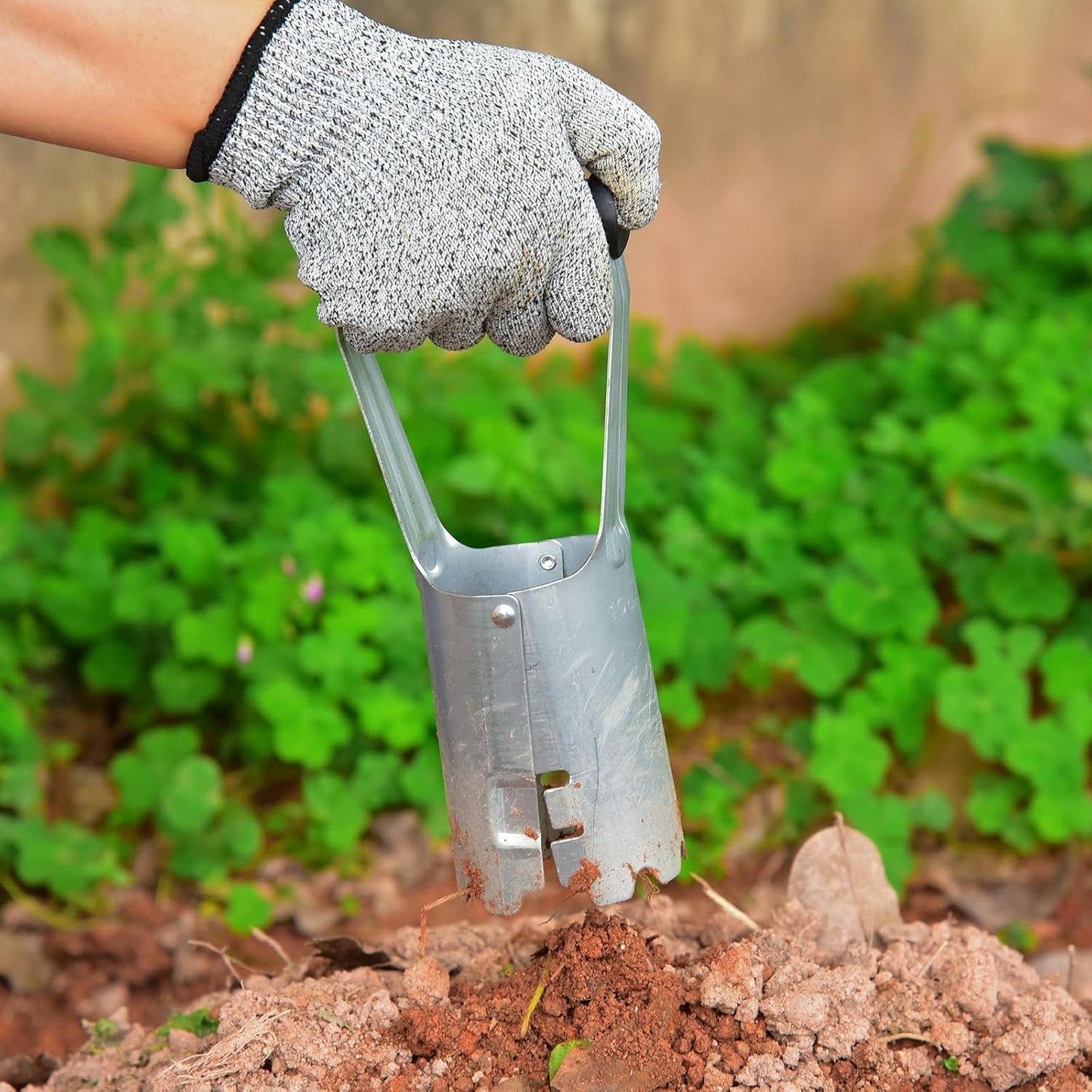 Bulb Planter, Bulbs Transplanter Designed for Automatic Soil Release with Depth Marker for Dgging Holes and Planting Tool for Tulips, Daffodils, Dahlias