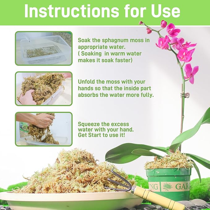 2LB Sphagnum Moss for Plants Indoor, Premium Peat Moss for Reptiles Terrarium-40 Quarter, Natural Long Fiber Orchid Moss for Repotting Propagation Succulent Sarracenia Carnivorous Gardening