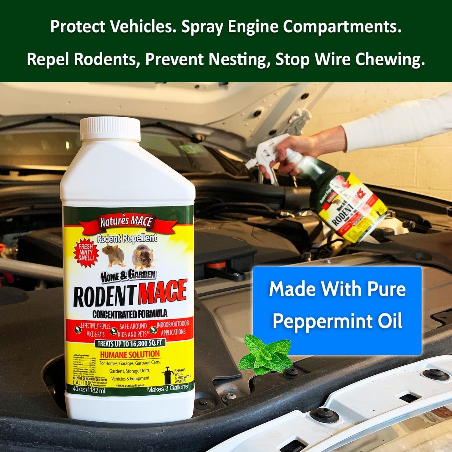 Nature’s MACE Rodent Repellent 40oz Concentrate, Covers 16,800 Sq. Ft.,Repel Mice & Rats, Keep Mice, Rats & Rodents Out of Home, Garage, Attic, and Crawl Space, Safe to Use Around Cildren & Pets