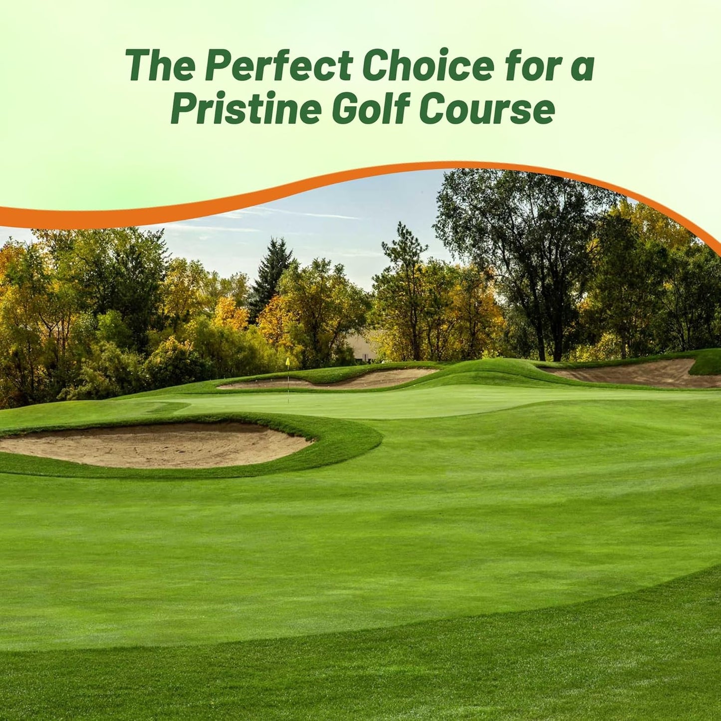 Outsidepride V8 Creeping Bentgrass Seed - 25 lbs. Fine-Bladed, Premium Quality Turf, Grass Seeds for Smooth Surface, & High-Traffic Areas, Ideal Grass for Golf Courses Putting Greens, & Fairways