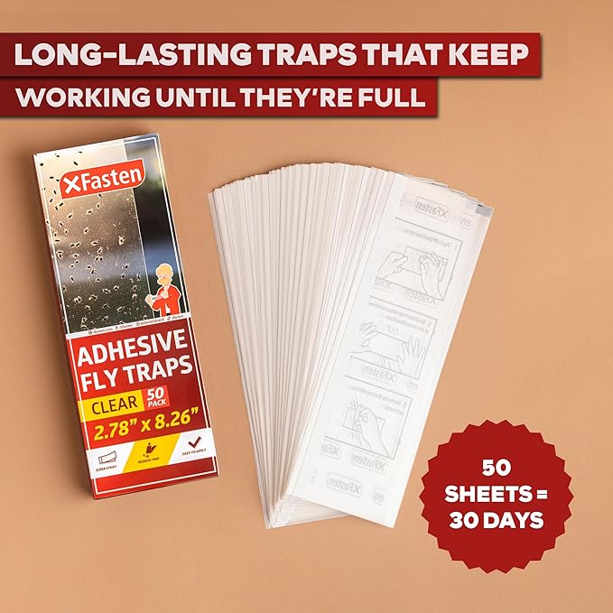 XFasten Window Fly Traps Sticky Clear 50-Pack Fruit Fly Traps for Indoors Sticky, Residue-Free, Odorless, Discreet Adhesive Indoor Catcher for Fruit Flies Houseflies, Gnats on Windows Kitchen Garage