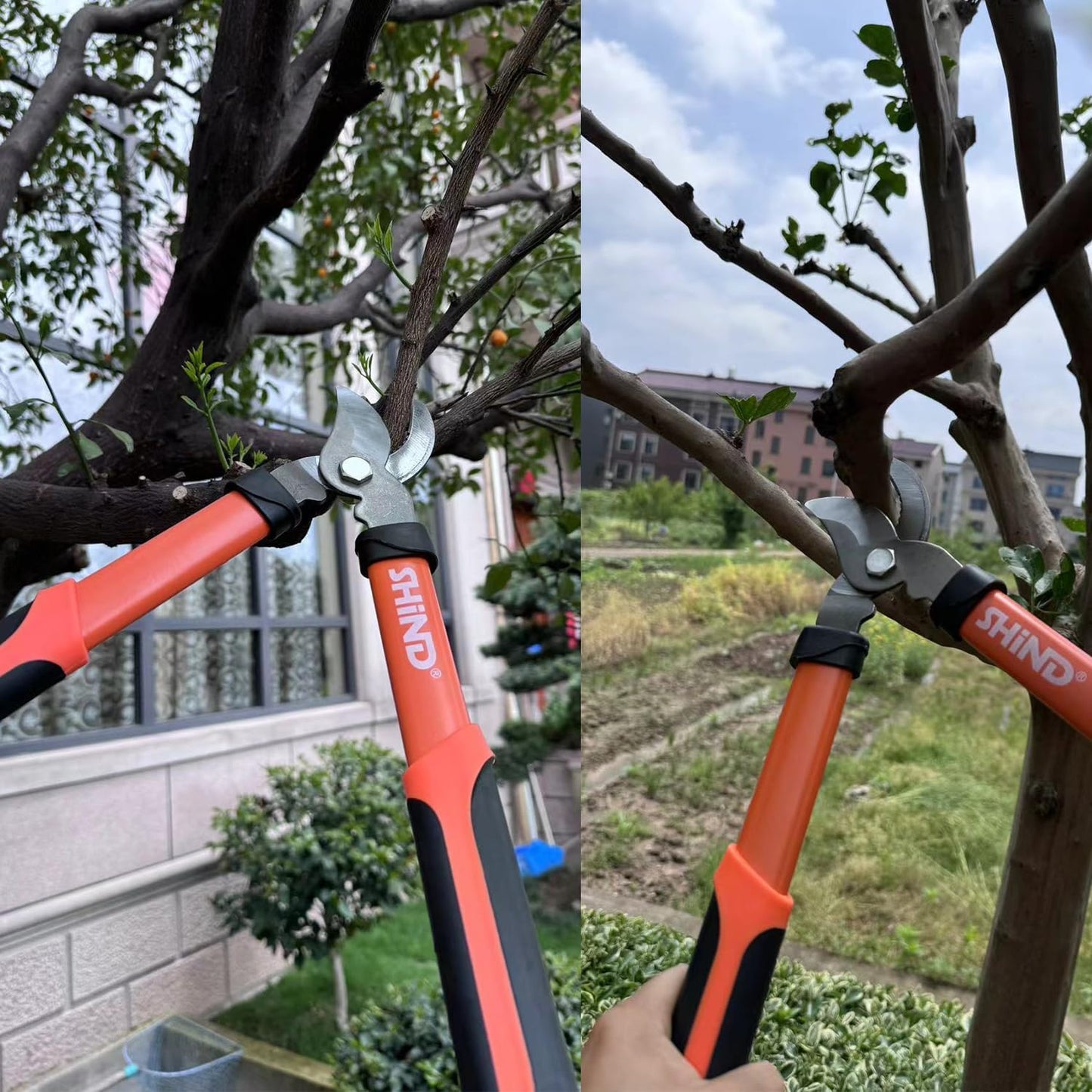 SHIND Lopper Heavy Duty Branch Cutter Tree Clippers with Compound Action, Chops Thick Branch Ease, Garden Loppers Pruning, 15 Inch Tree Trimmer with 1.6” Clean Cut Capacity (15 Inch)
