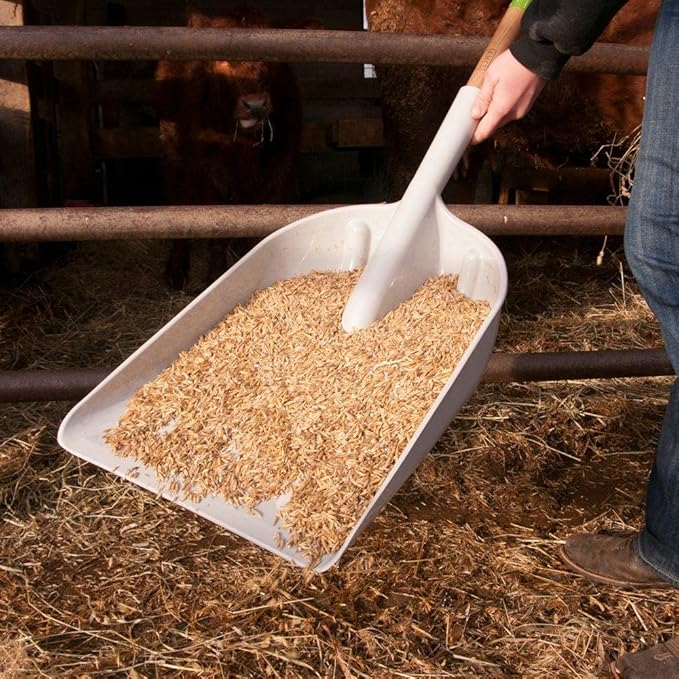 AMES 2682700 Poly Scoop with Hardwood Handle and D-Grip, 46-Inch, Brown