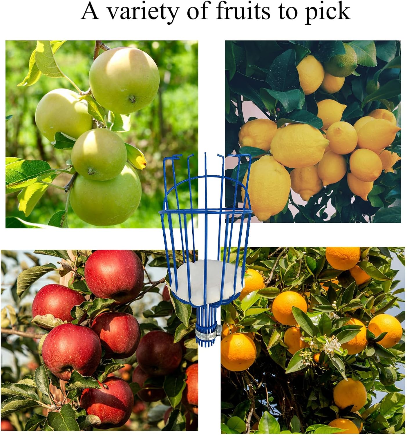 Fruit Picker Basket Only Twist-On Standard US Threaded Pole Integrated Non-Detachable Harvesting Tool Head with Protected Foam Cushion for Apple Peach Mango Pear, Blue(Pole Not Included)