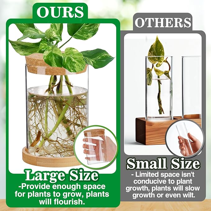 Plants Propagation Station - 2Pcs Desktop Plant Terrarium Glass Hydroponic Vases, Water Plant Propagating Jars, Gardening Gifts for Women Mom Plant Lovers (Thick Straight Shape, Separated Tray Style)