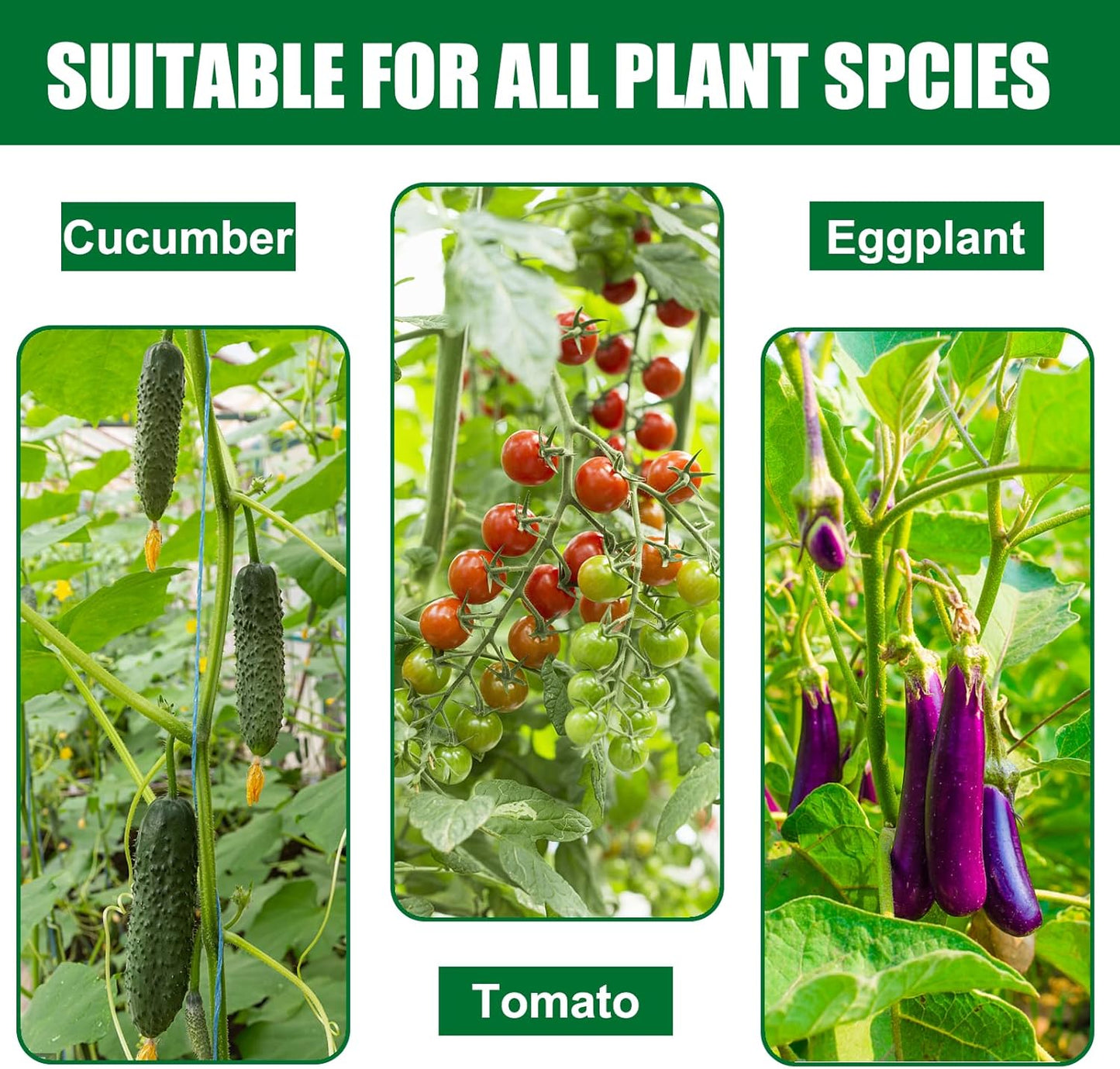 Garden Stakes 36 Inches Steel Plant Stakes Tomato Stakes 3ft Pack of 25