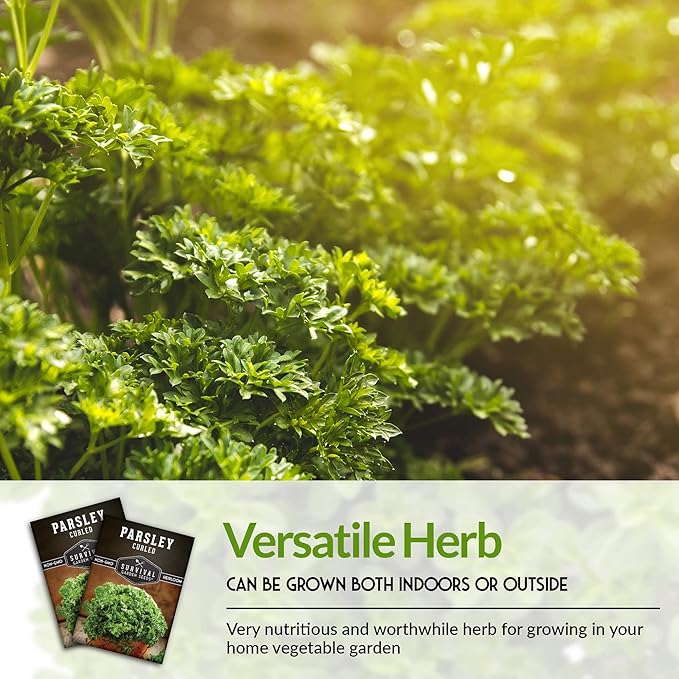 Survival Garden Seeds - Curled Parsley Seed for Planting - 3 Packs with Instructions to Plant and Grow Nutritious Curly Parsley Herb Plants in Your Home Vegetable Garden - Non-GMO Heirloom Variety