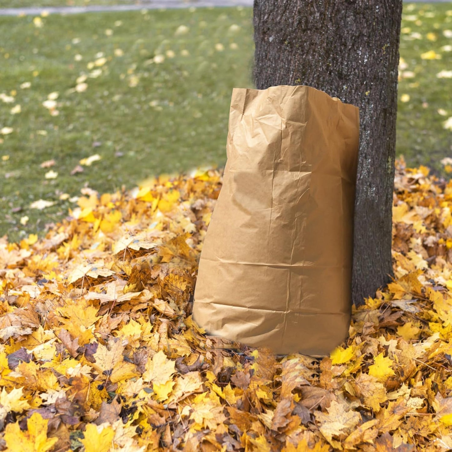 Lawn & Leaf Bags, heavy-duty 2-layer Brown paper, Home and Garden Yard Waste Compost Refuse Paper Bags (30 Gallon,5pack)