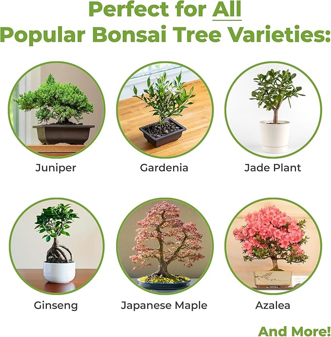 Bonsai Soil by Perfect Plants - 2qts. | Premium All-Purpose Mix Bonsai Tree Varieties