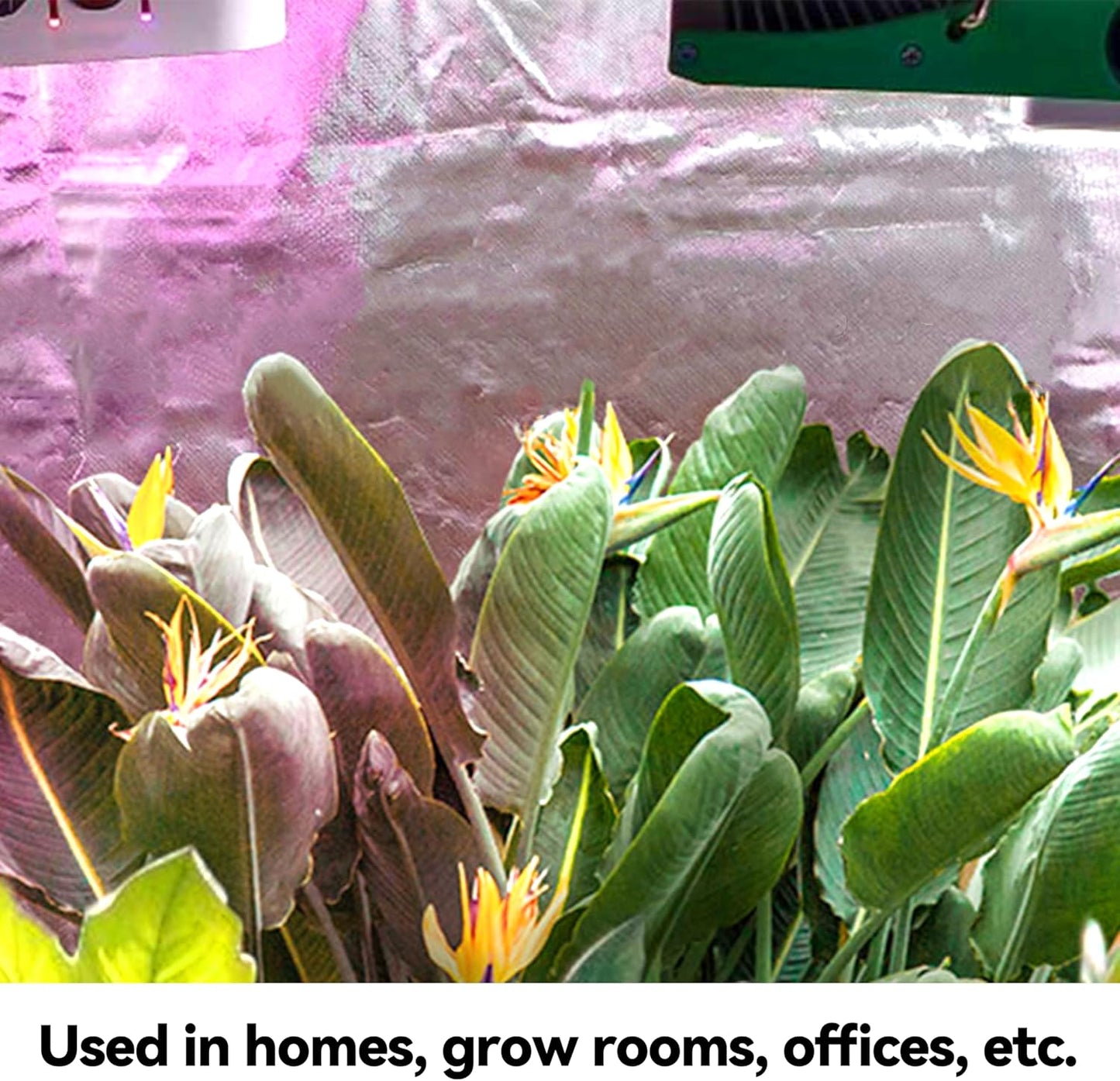 6 Mil Mylar Film Roll Diamond Film Foil Roll Highly Reflective Grow Room (4X50FT)