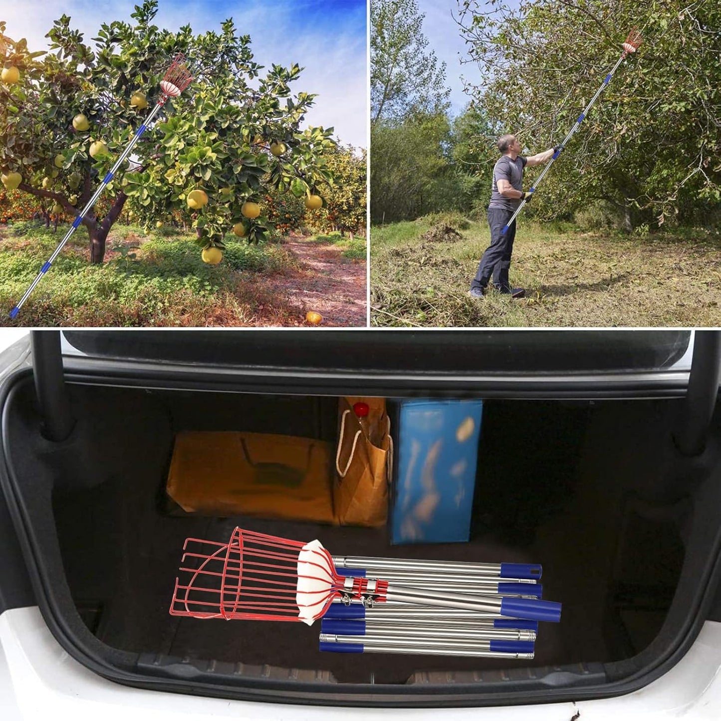 BsBsBest Fruit Picker Pole with Basket, Telescoping Fruit Picker Tool with Long Handle, 35-65 Inch Adjustable Apple Avocado Orange Picker, Stainless Steel Fruits Catcher Tree Picker