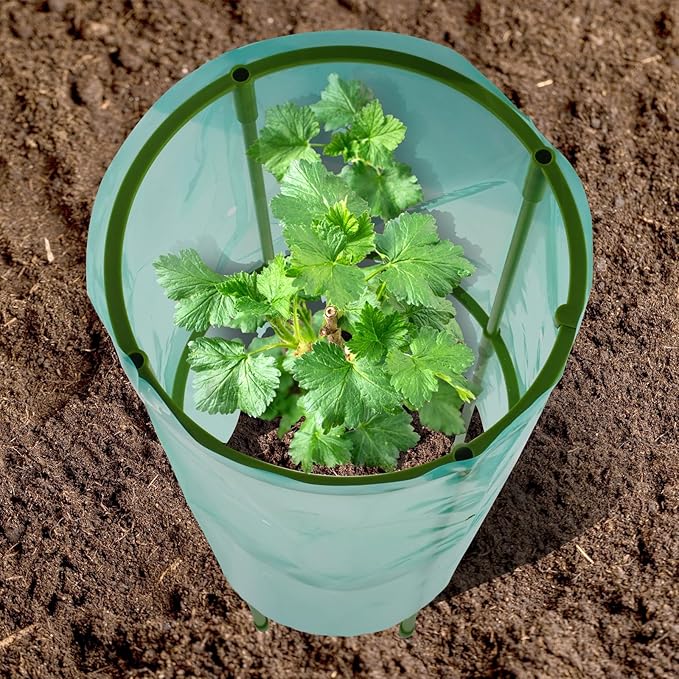 2Pcs Garden Plant Protectors,22.44 ''H × 9.45" w Reusable Seedling Plant Protector Covers for Protection Against Sun, Frost, Snails etc.