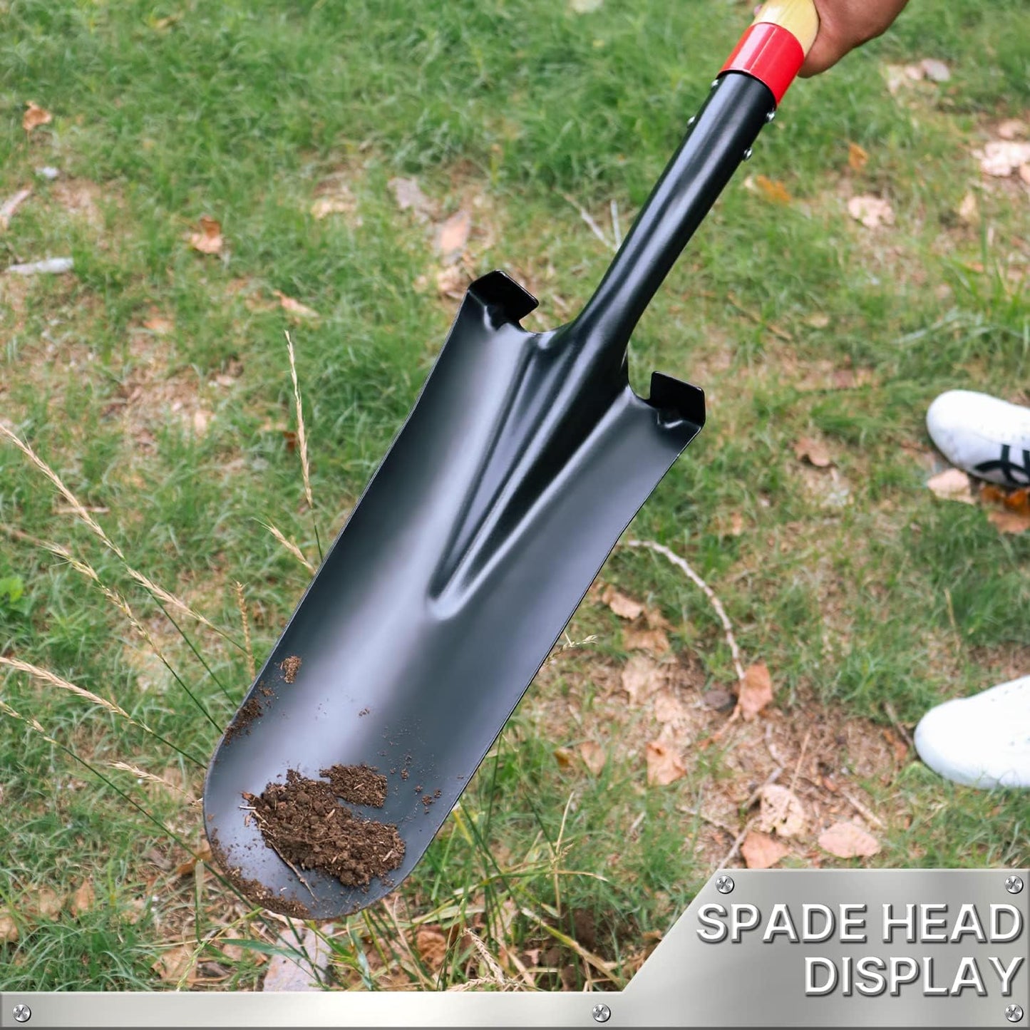VNIMTI Spade Shovel,Transplanting Spade,Drain Spade,Spade Shovels for Digging,Sharp Shooter Shovel or Spade,45Inch,Stell D-Grip,Wooden Handle