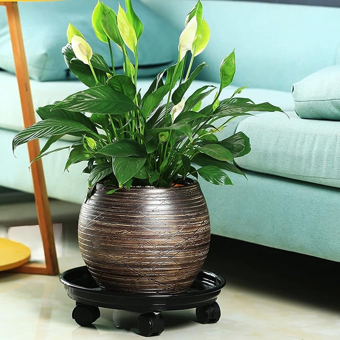 8 Packs Plastic Plant Caddy with Wheels 12” Heavy-duty Rolling Plant Stand with Wheels Plant Dolly with Casters for Indoor and Outdoor Plant Roller Base Plant Saucer Mover, Black