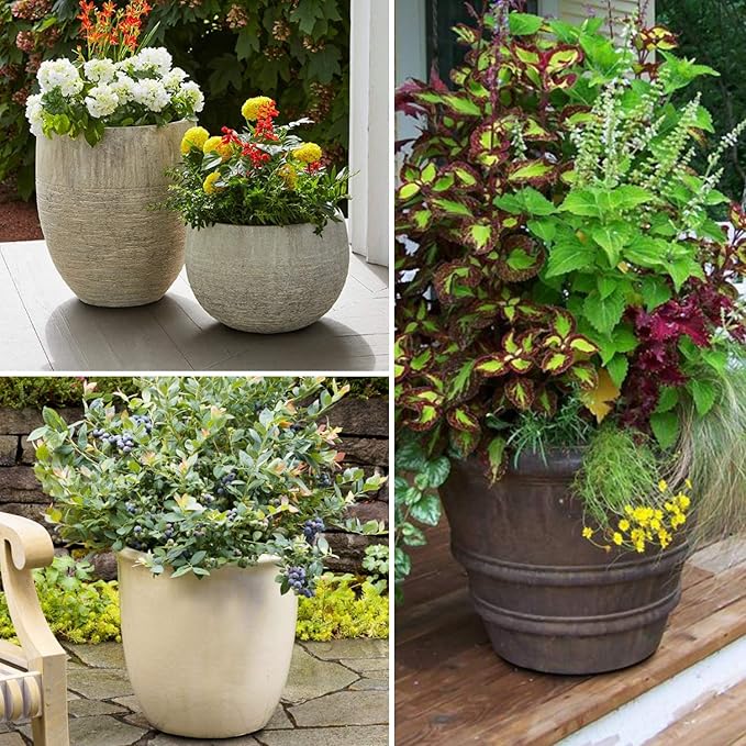 IMPRESA 20 Pack Pot Feet for Outdoor Planters - Invisible Plant Risers for Medium and Large Sized Heavy Pots - 3/4" Elevators - Work Great On Patio and Deck Use
