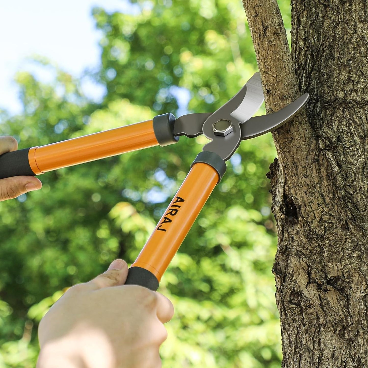 AIRAJ Bypass Loppers for Gardening | 16 Inch Garden Shears | SK5 High Carbon Steel Blade | Plants, Flowers and Tree Trimmer | Pruning Shears | Branch Cutter | Garden Loppers | Cutting 1.5” MAX