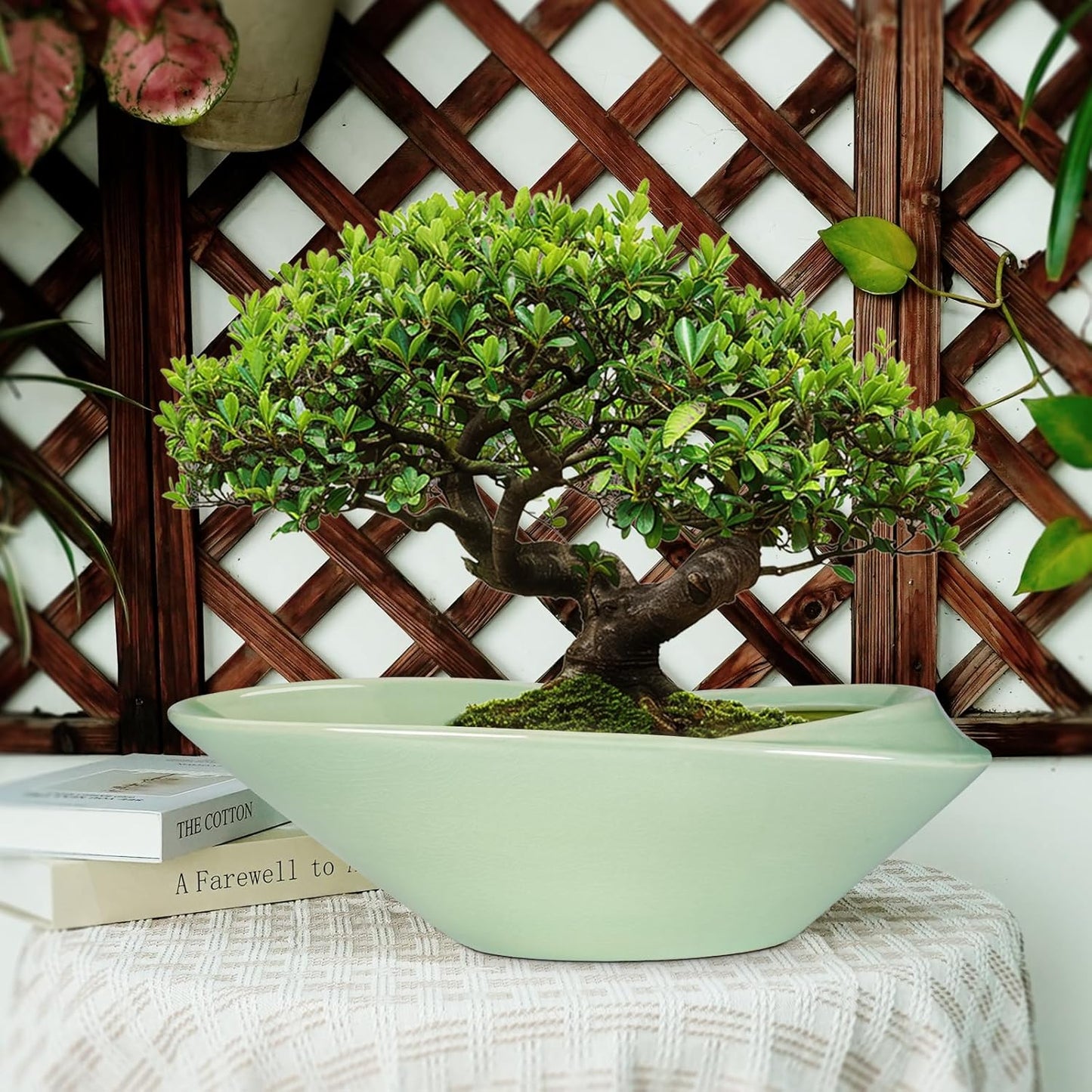 Ceramic Bonsai Pot - 18 Inch Planter with Drainage Hole Large Modern Bonsai Planter Decorative Succulent Flower Plant Pot for Indoor Plants Outdoor Green