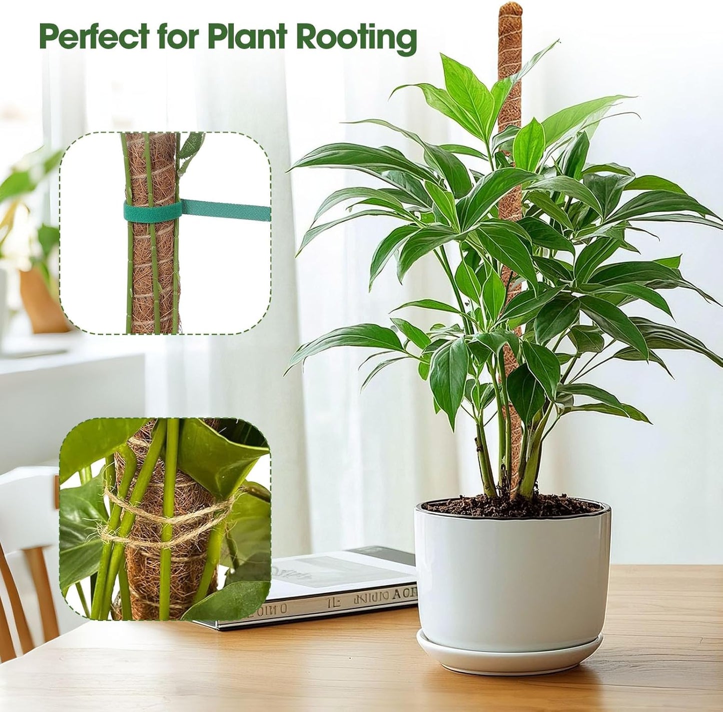 2 Pack Moss Pole, 63 Inch Bendable Moss Poles for Plant Monstera, Tall Plant Support Stakes for Climbing Plants Indoor, Coco Coir Plant Stick Support Kit for Potted Plants, Pothos, Philodendron