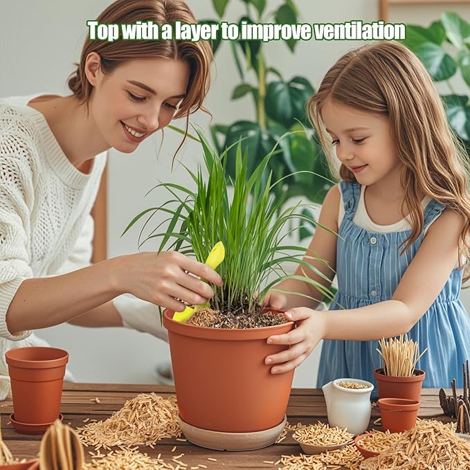 Rice Hulls for Gardening 4qt - Promote Root Development, Water Efficiency, and Disease Resistance