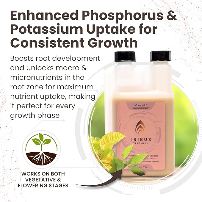 Tribus Organic Microbial Inoculant β Root Booster for Plants, Increases Plant Yield, Root Growth, Flower & Fruit Quality. Bloom Booster. Visible Root Growth in 24Hrs. Liquid Color May Vary. 8.5 oz