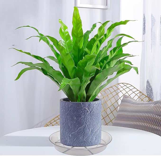 Plant Saucer, Plant Saucers 10 inch 2 Pieces, Plant-Saucers