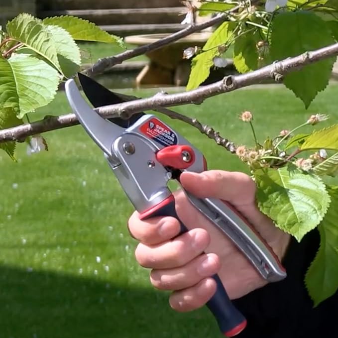Spear & Jackson 6458RS Razorsharp Ratchet Anvil Pruners / Pruning Shears with Rotating Ergonomic Handle, Blue, 21.5 x 6.5 x 2.5 cm