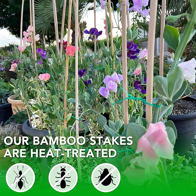 SWANGSA 55 Pack Bamboo Stakes for Plant 5 Feet(57.5inch) Bamboo Sticks for Garden Plant Support Stakes Poles for Tomatoes, Beans, Flowers, Trees, Indoor and Outdoor Climbing Plants