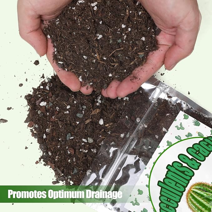 Cactus and Succulent Soil Potting Mix 10qt, Well Draining Chunky Soil Mix for Indoor Plants, Gritty Soil for Healthy Indoor Plants - Spike & Bloom