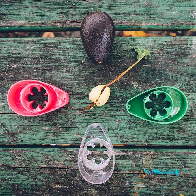 Avocado Tree Growing Kit, Clear, Practical Gifts for Women, Mom, Sister & Best Friend, Plant Indoors with Novelty Pit Grower Boat & Kitchen Garden Seed Starter